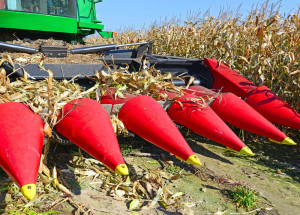 Corn harvesting machine